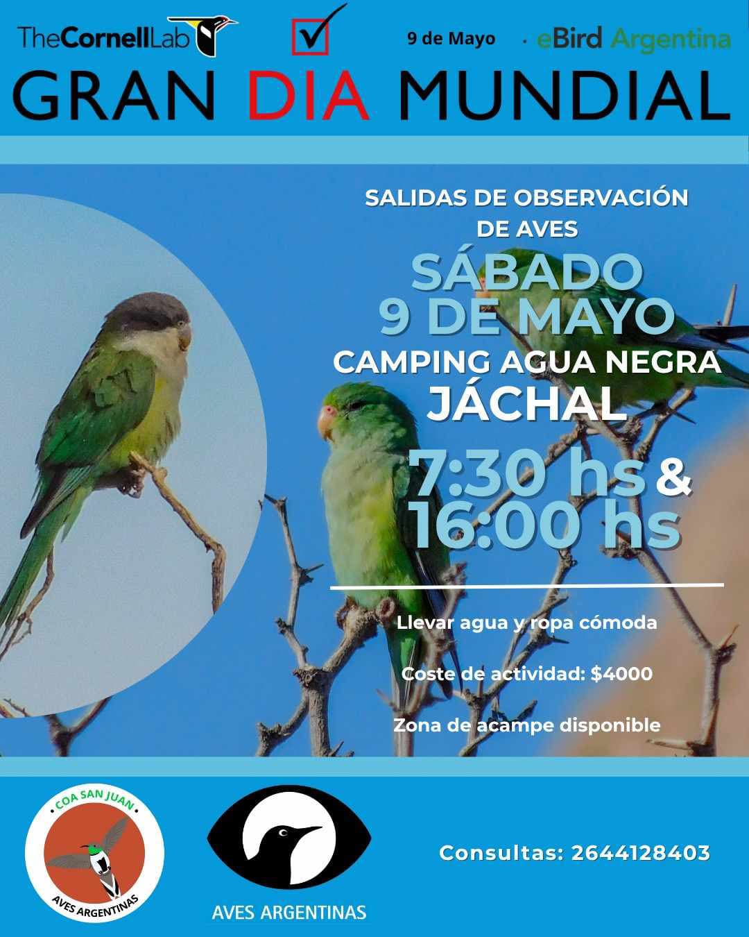 Día Mundial de la Observación de Aves