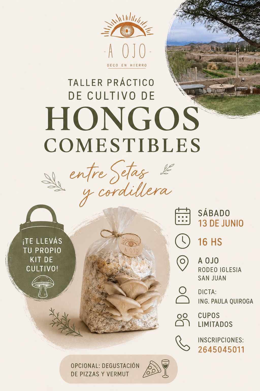 Entre Setas y cordillera: Taller de cultivo de hongos comestibles