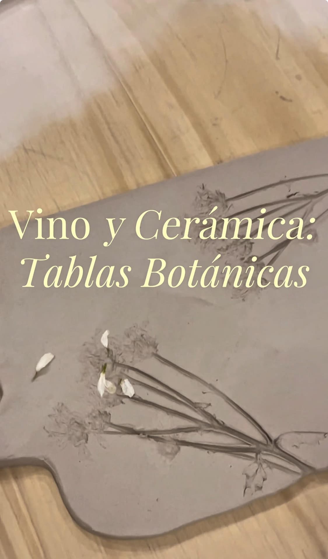 Vino y Cerámica🍷Edición: Tablas Botánicas 🌿