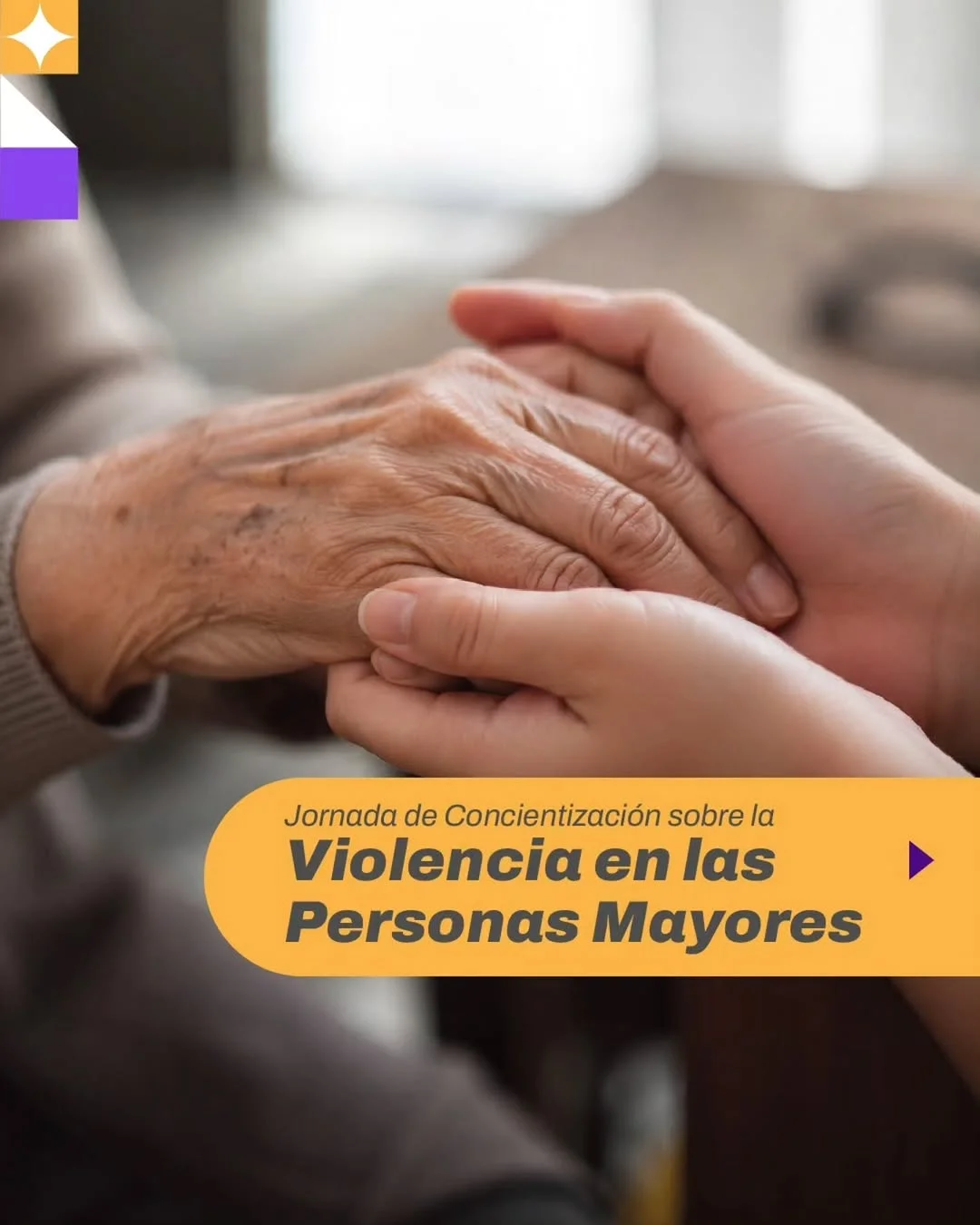 Jornada de Concientizacion sobre la Violencia en las Personas Mayores