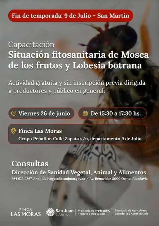 Capacitacion Situacion Fitosanitaria de Mosca de los Frutos y Lobesia Botrana