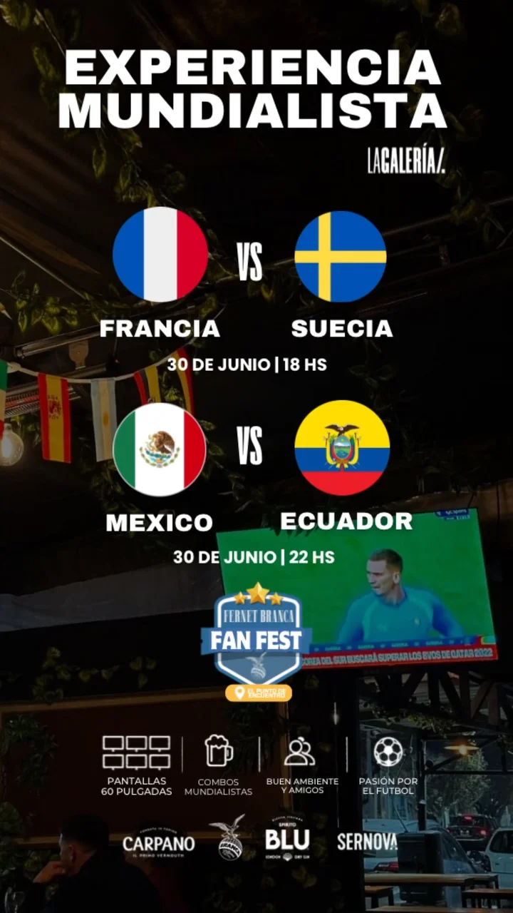 Francia vs Suecia