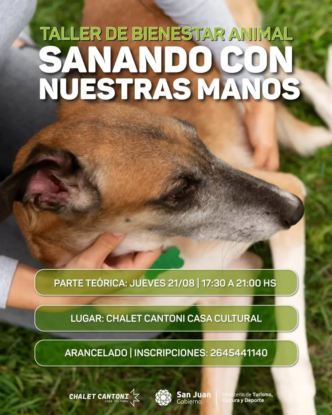 Taller de Bienestar Animal Sanando con Nuestras Manos