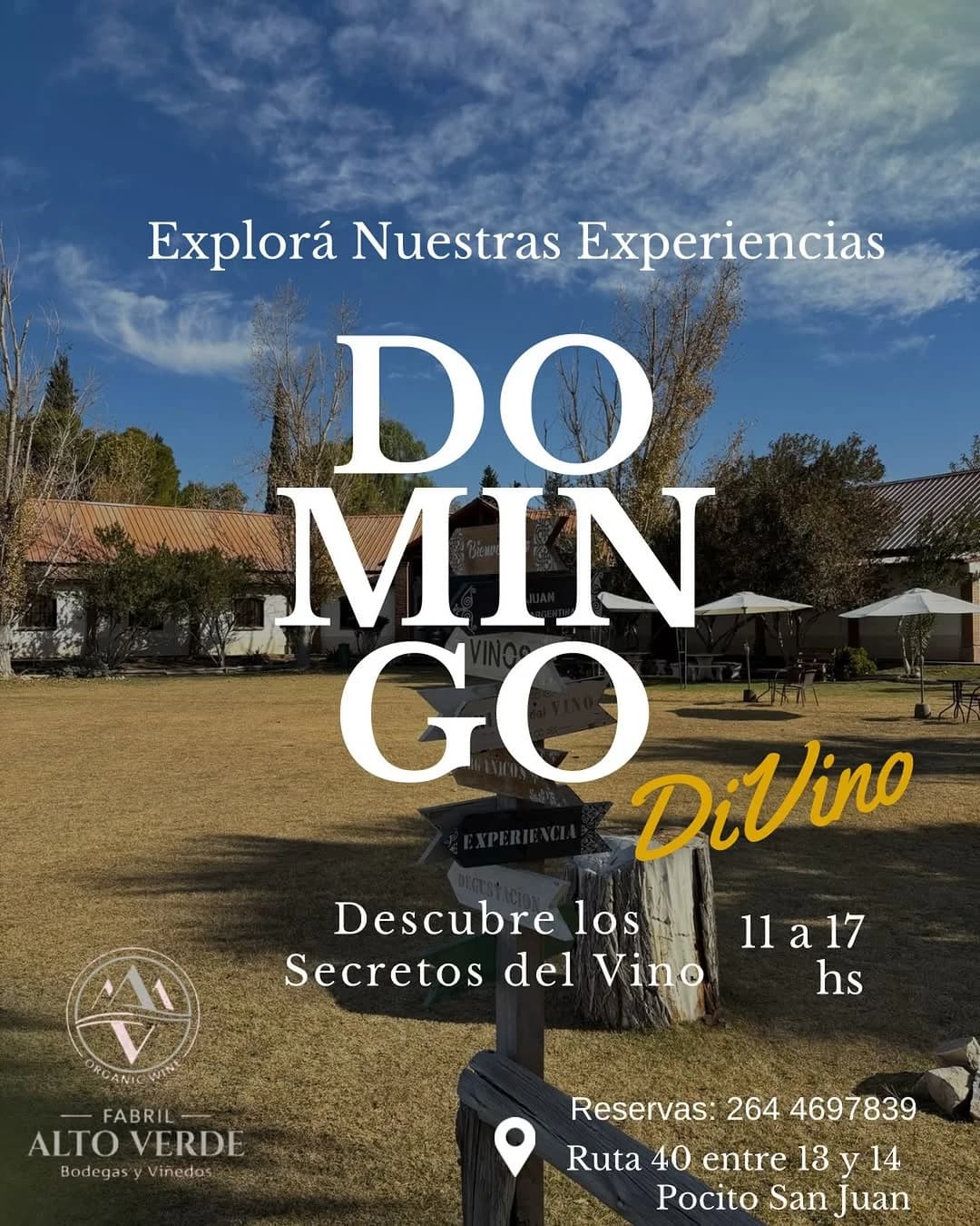 Domingo Divino