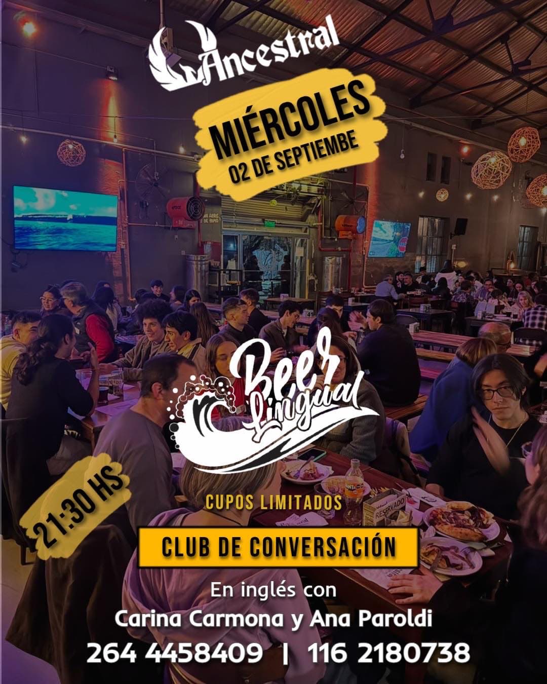 Beerlingual — Bares