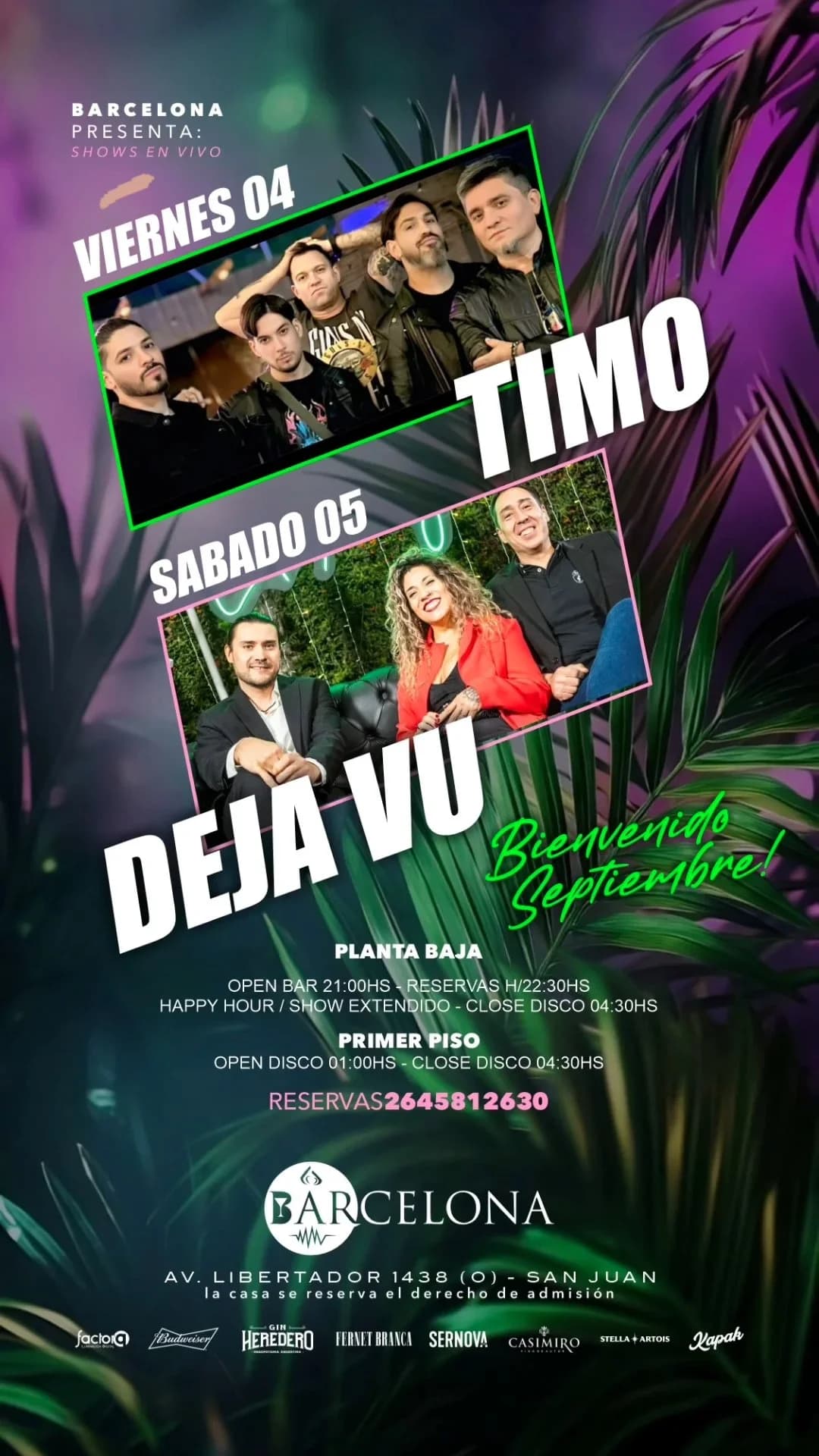 Timo — Música