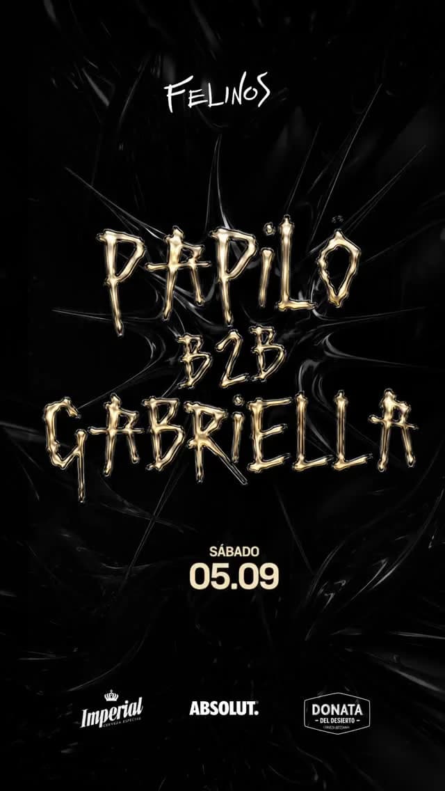 Papilo B2B Gabriella