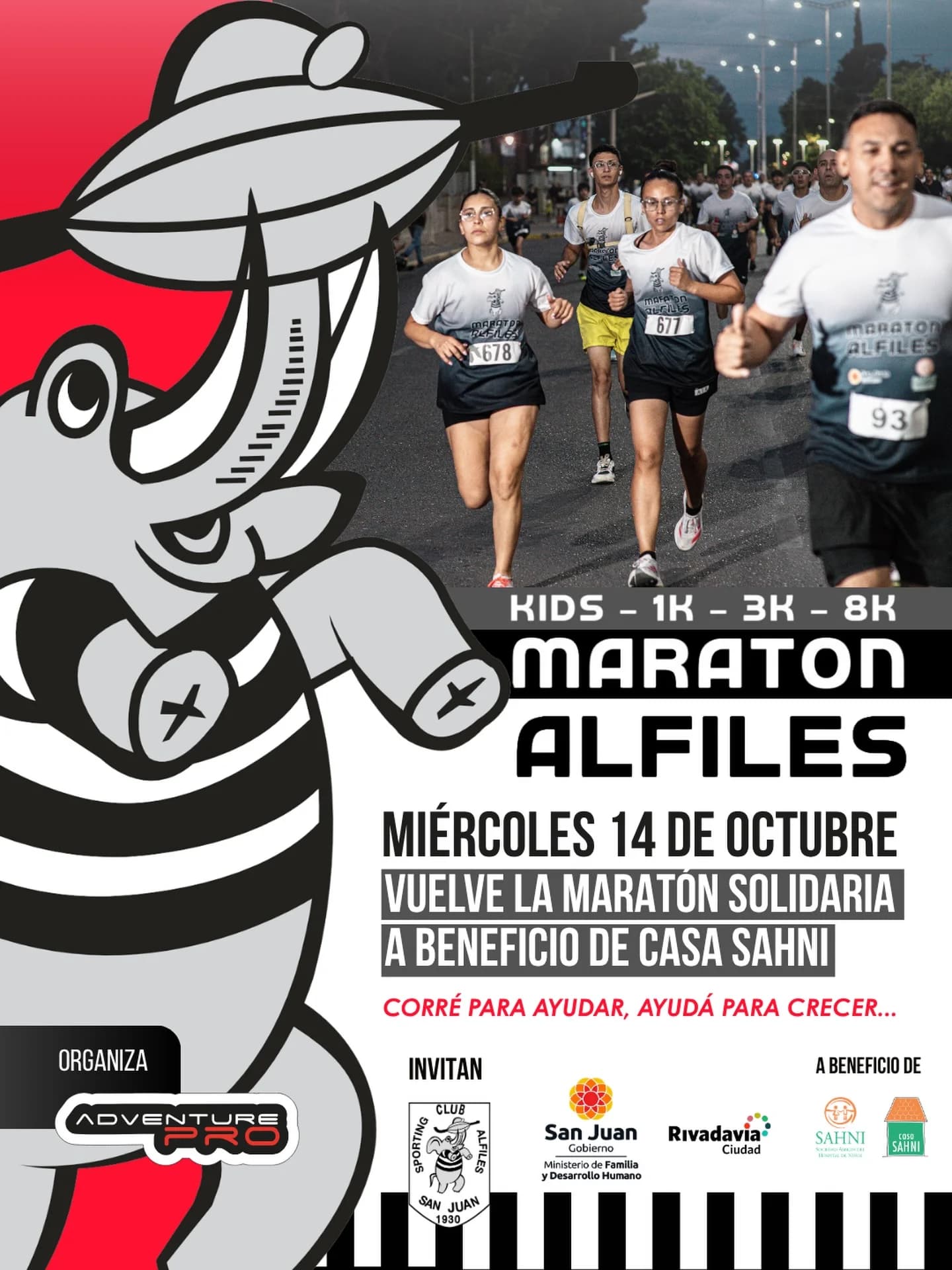 Maraton Alfiles