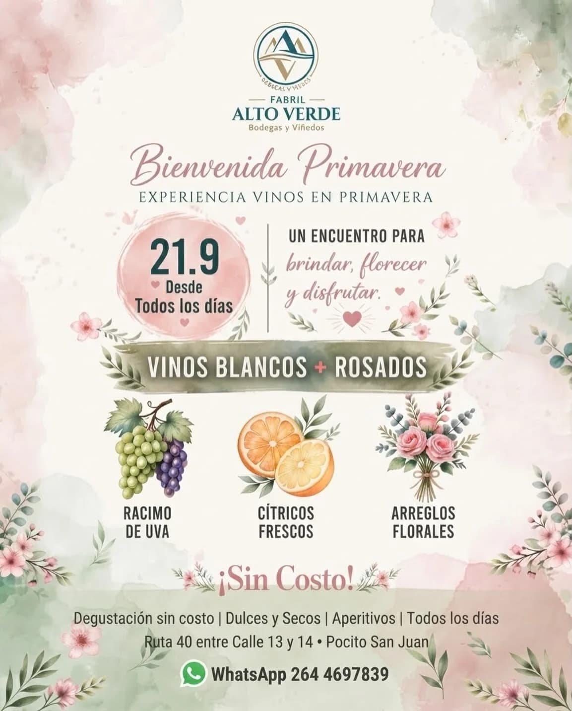 Bienvenida Primavera - Experiencia Vinos en Primavera