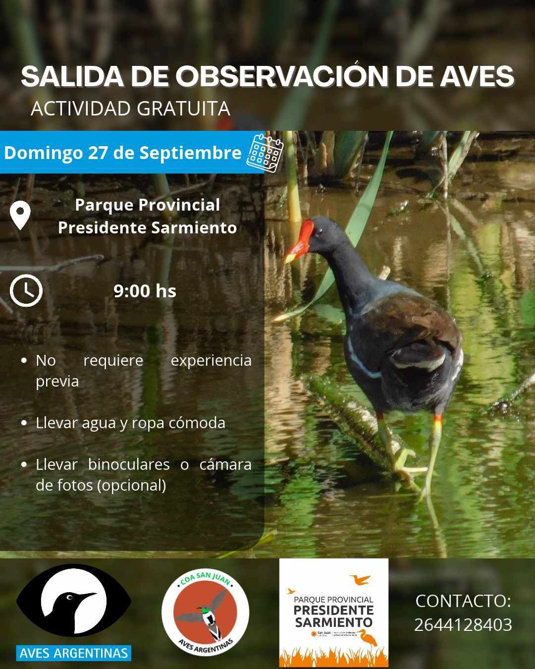 Salida de Observacion de Aves