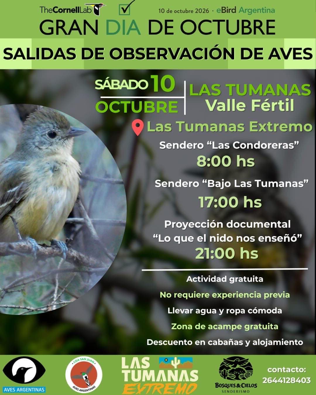 Salidas de Observacion de Aves