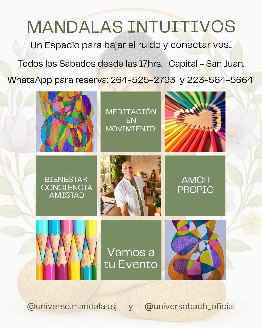 Mandalas Orgánicos Intuitivos