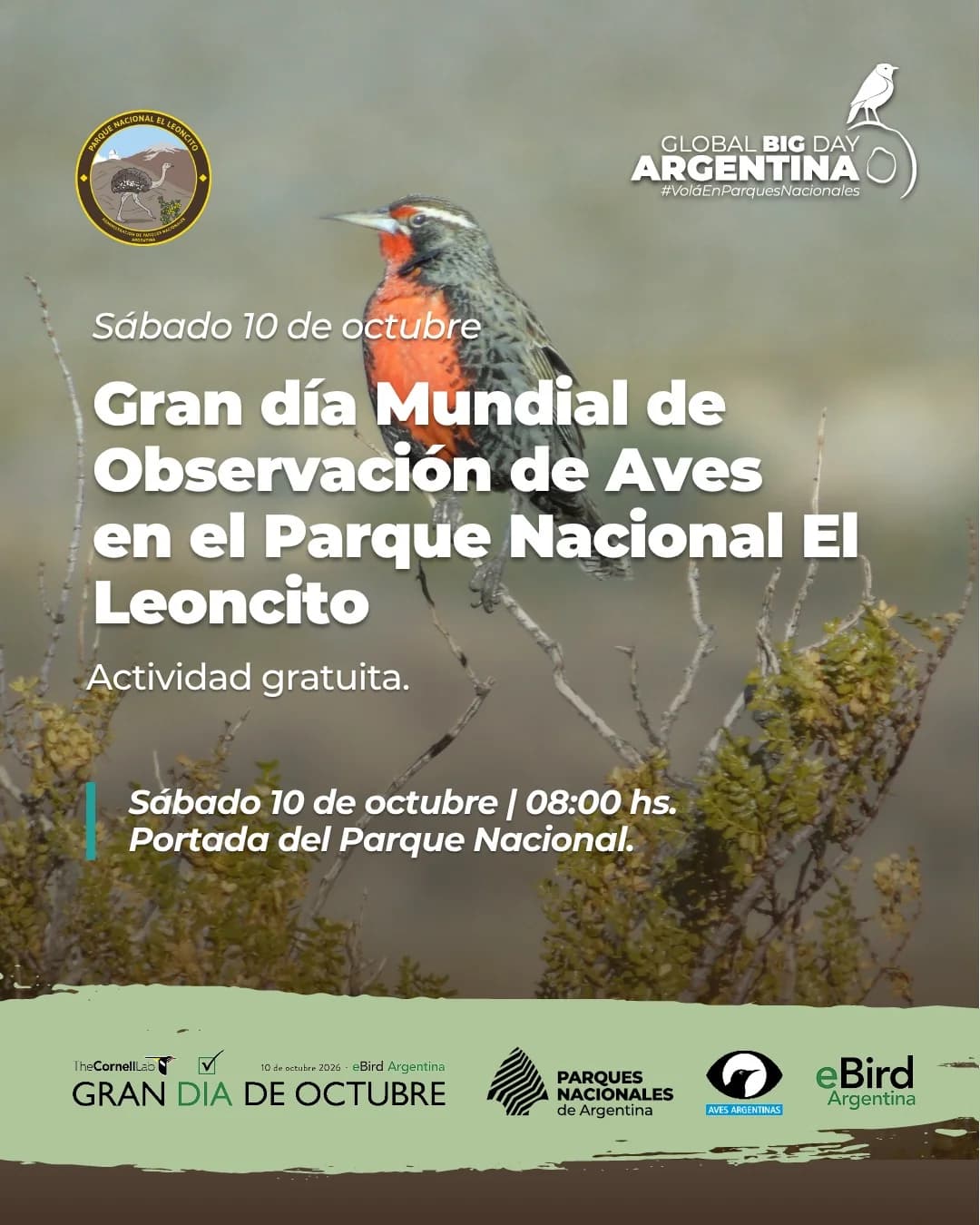 Gran Dia Mundial de Observacion de Aves