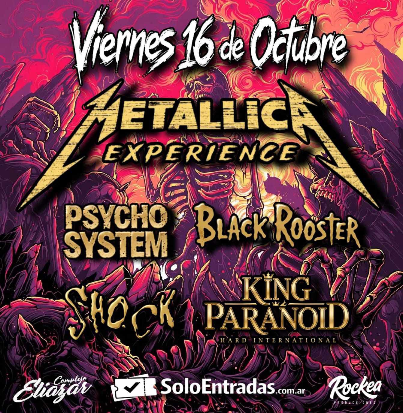 Metallica Experience