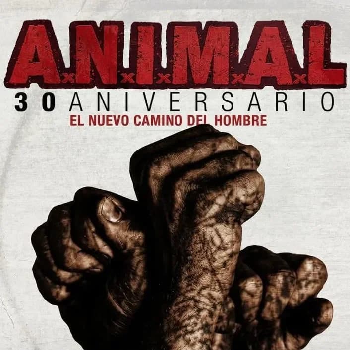 A.N.I.M.A.L — Música