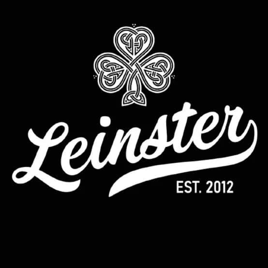Leinster Bar Irlandés