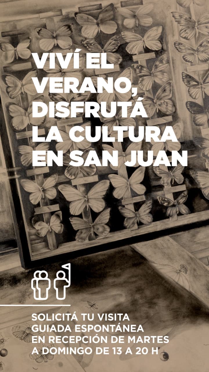 Exposiciones en San Juan: Visita Guiada - Vivi el Verano, Disfruta la Cultura en San Juan en Museo Provincial de Bellas Artes Franklin Rawson el dom, 1 de febrero