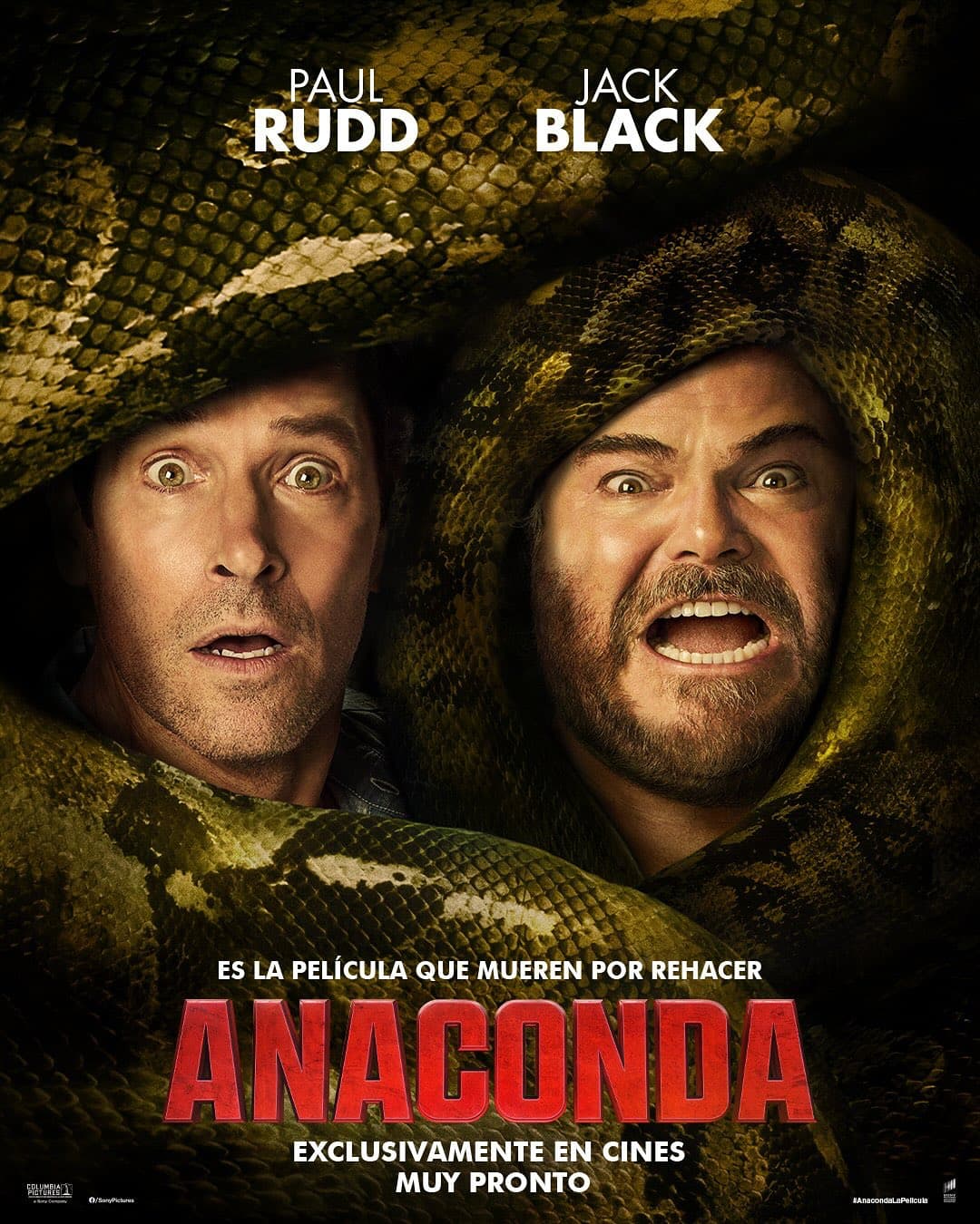 Anaconda